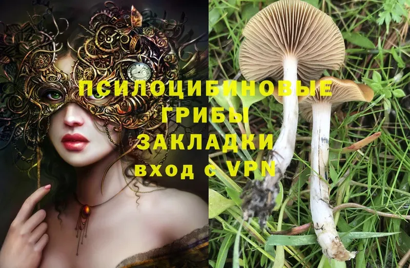 что такое   Иннополис  Галлюциногенные грибы GOLDEN TEACHER 